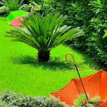 Bed & Breakfast Le Camerette Di Edda Cassino
