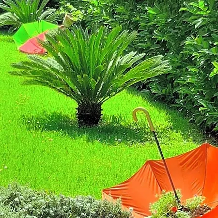 Le Camerette Di Edda Bed & Breakfast